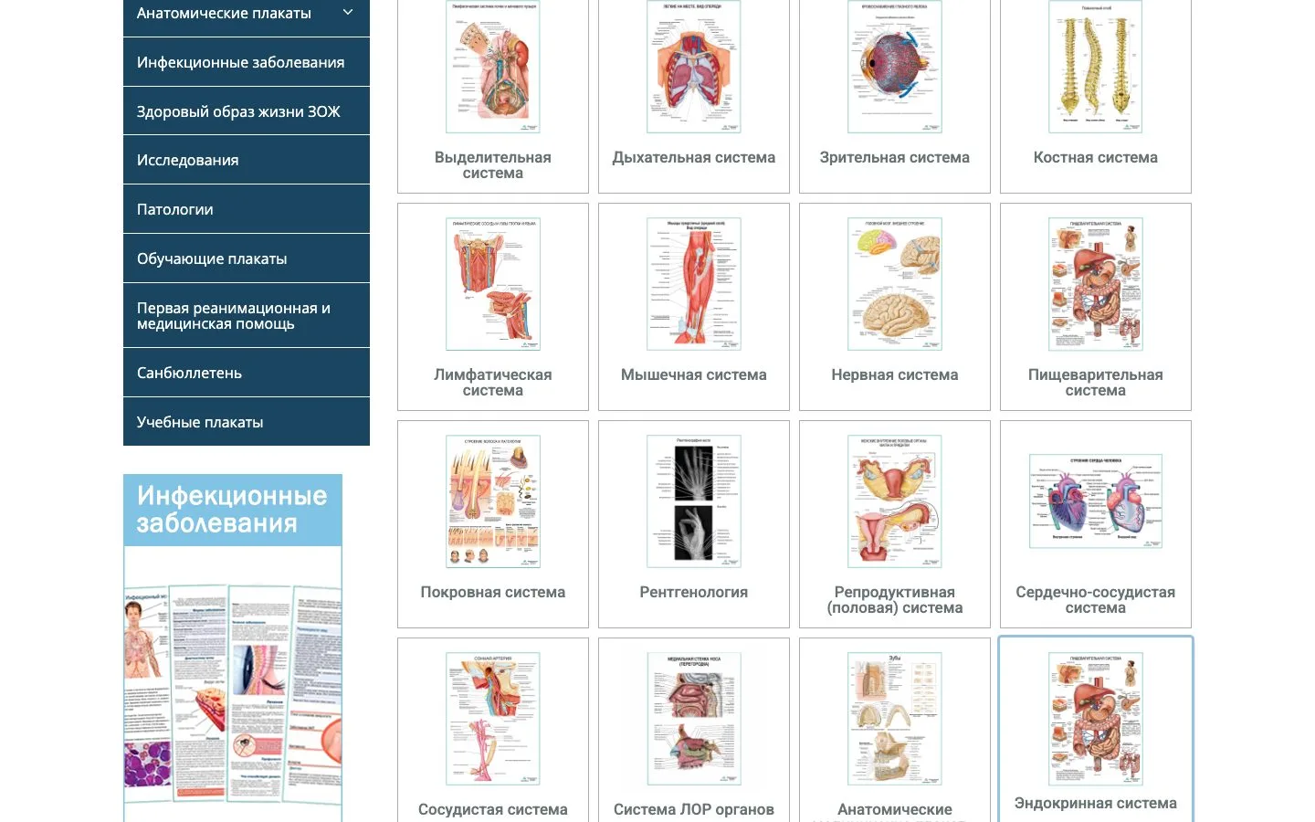 Anatomy catalog
