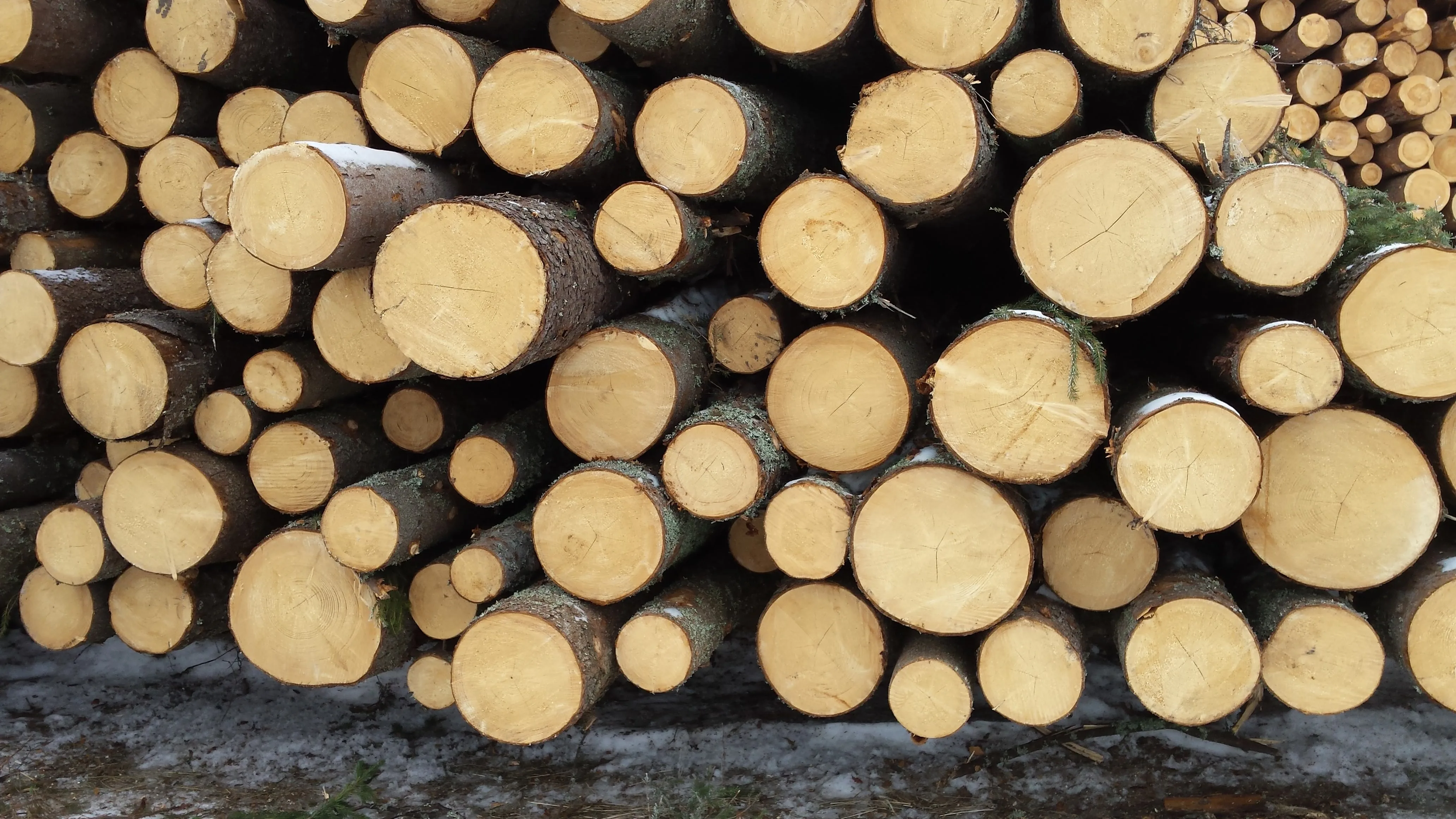 Lumber warehouse — boards and timber